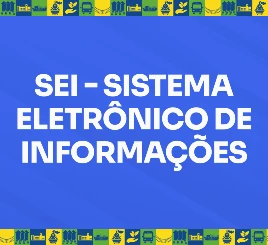 SEI