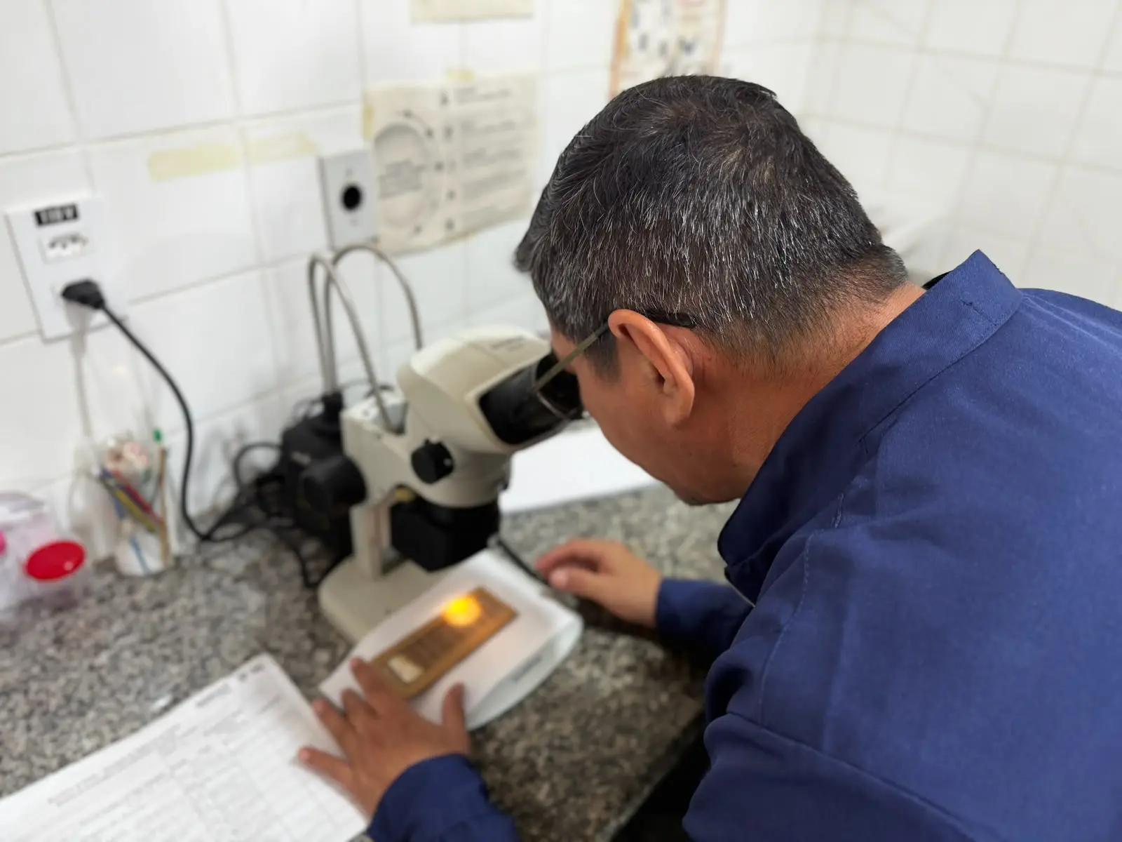 Coleta de ovitrampas avança na preparação para o Método Wolbachia