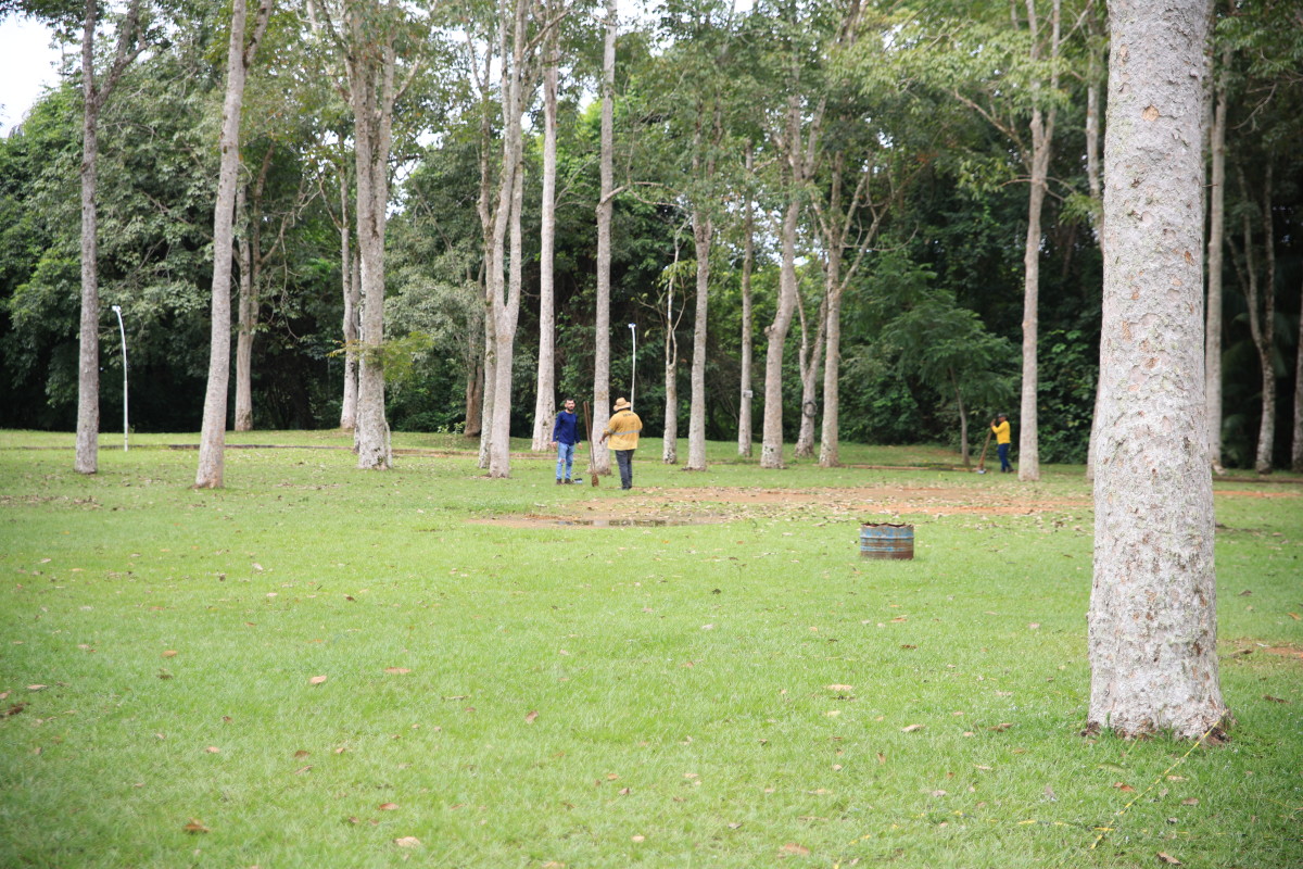 SUSTENTABILIDADE - Porto Velho cria novas regras para cuidar das árvores e fauna da cidade