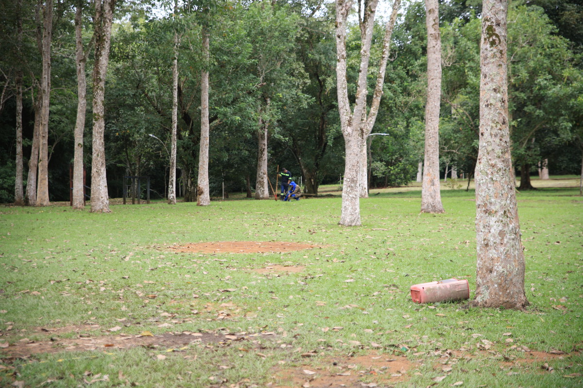 SUSTENTABILIDADE - Porto Velho cria novas regras para cuidar das árvores e fauna da cidade